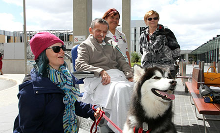 Man in wheelchair in front of dog, surrounded by family and staff